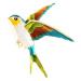 Camerazar Elegantní Brož s Barevným Ptáčkem, Bižuterní Slitina, 5x4 cm