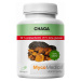 MycoMedica Chaga 50% 90 kapslí