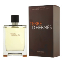 Hermes Terre D´ Hermes - EDT 100 ml