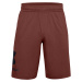 Under Armour UA COTTON BIG LOGO SHORTS-RED