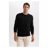 DEFACTO Regular Fit Crew Neck Basic Cotton Sweatshirt