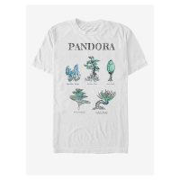 Pandora Avatar ZOOT. FAN Twentieth Century Fox - unisex tričko