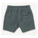 Volcom Center Trunks