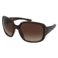 Ray-Ban Powderhorn RB4347 710/13