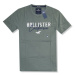 Hollister pánské tričko iconic logo grn zelené