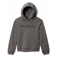 Columbia COLUMBIA TREK HOODIE Šedá