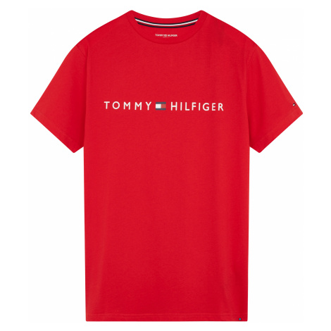 Tommy Hilfiger CC SS Tee Logo