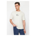 Trendyol Stone Oversize/Wide Cut Printed 100% Cotton T-Shirt