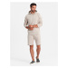 Men's sweatshirt set kangaroo sweatshirt + shorts - ash V1 Z75