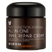 MIZON All In One Snail Repair Cream 75 ml