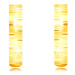 Náušnice ze žlutého zlata 585 - úzké matné kroužky zdobené lesklými zářezy