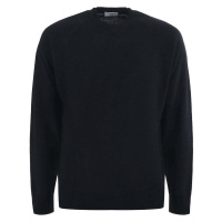 Paolo Pecora - Modrá