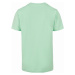 Mister Tee / Miami Palms Tee neo mint