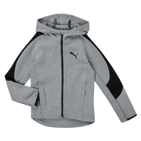 Puma EVOSTRIPE CORE FZ HOODIE Šedá