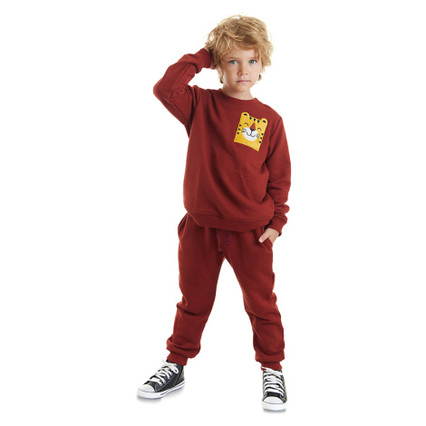 Denokids Tiger Boy Tracksuit Set