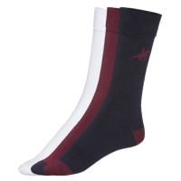 LIVERGY® U. S. Grand Polo Pánské ponožky, 3 páry (navy modrá / bordó / bílá)