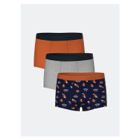 LC Waikiki Printed Boy's Boxer Set of 3