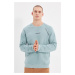 Trendyol Mint Men's Regular Fit Long Sleeve Crewneck Printed Sweatshirt