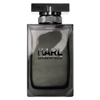 Karl Lagerfeld for Him Toaletní voda pro muže 100 ml