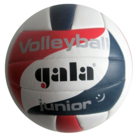 Volejbalový míč GALA junior 5093S