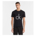 Calvin Klein CK Logo Tričko pánské - černé