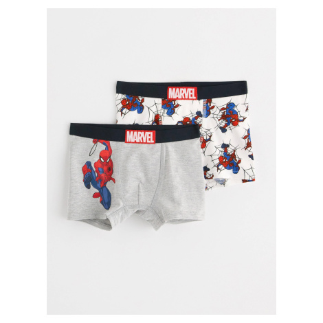 Dvoje boxerky se Spider-Manem Lindex