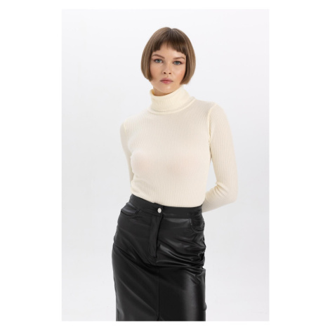 DEFACTO Fitted Turtleneck Ribbed Sweater