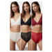 Trendyol Black-Multicolor 3-Pack Lace Openwork/Perforated Hipster Knitted Panties