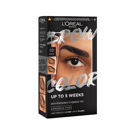 L'ORÉAL PARIS Brow Color 1.0 Black