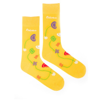 Ponožky Lúčnica kvety žluté Fusakle