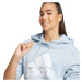 Mikina adidas Essentials Big Logo Regular Fleece Hoodie W IR9329