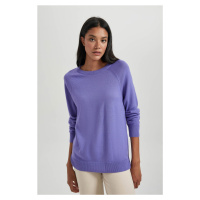 DEFACTO Relax Fit Crew Neck Basic Sweater