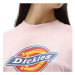 Dickies S/S Icon Logo W Tee Rose