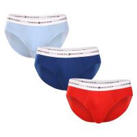 3PACK pánské slipy Tommy Hilfiger vícebarevné