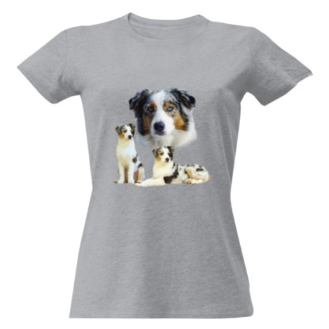 Dámské tričko Australský ovčák - blue merle