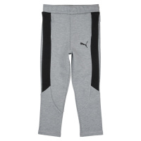 Puma EVOSTRIPE CORE PANTS Šedá