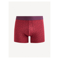 Fipaisle Boxerky Celio