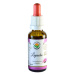 Salvia Paradise Lapacho AF tinktura 50 ml