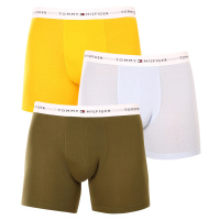 3PACK pánské boxerky Tommy Hilfiger vícebarevné (UM0UM02941 0W8)