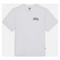 Dickies Aitkin chest tee ss Bílá