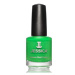 Jessica lak na nehty 680 Mint Mojito Green 15 ml