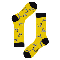 ZOO zebra barevné ponožky unisex 044 žlutá