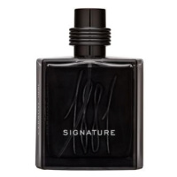 Cerruti 1881 Signature parfémovaná voda pro muže 100 ml