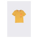 Dětské bavlněné tričko Coccodrillo žlutá barva, s potiskem