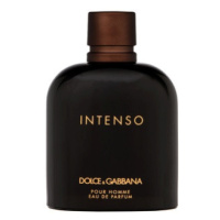 Dolce & Gabbana Pour Homme Intenso parfémovaná voda pro muže 200 ml
