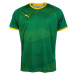 Puma KC LIGA JERSEY GRAPHIC Pánský fotbalový dres, zelená, velikost
