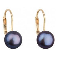 Zlaté 14 karátové náušnice visací s modrou říční perlou 921009.3