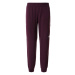 The North Face W Tekwr Fleece Pant