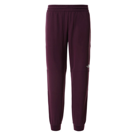 The North Face W Tekwr Fleece Pant