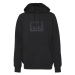 Helly Hansen Box Hoodie M 53289-990 pánské